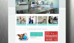 sito web per ambulatorio veterinario